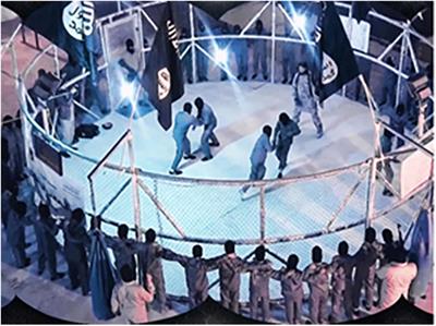 Education Under the Islamic State of Iraq and Syria: A Content Analysis of the Physical Education Curriculum